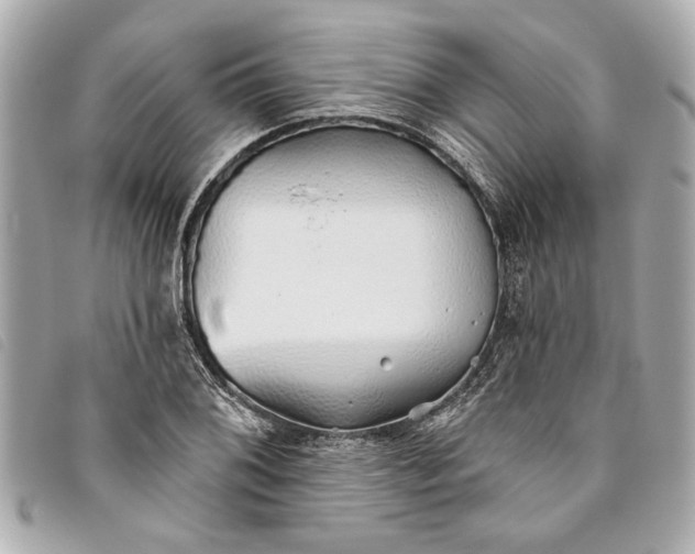 X0000093501076200710261133