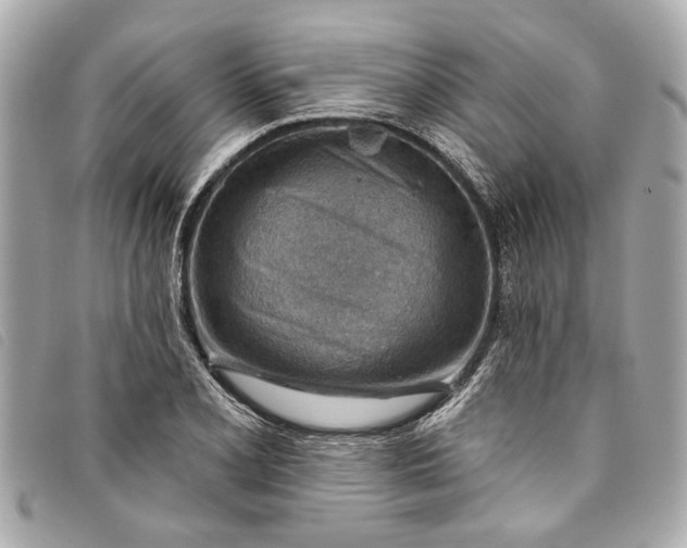 X0000093501077200710261133