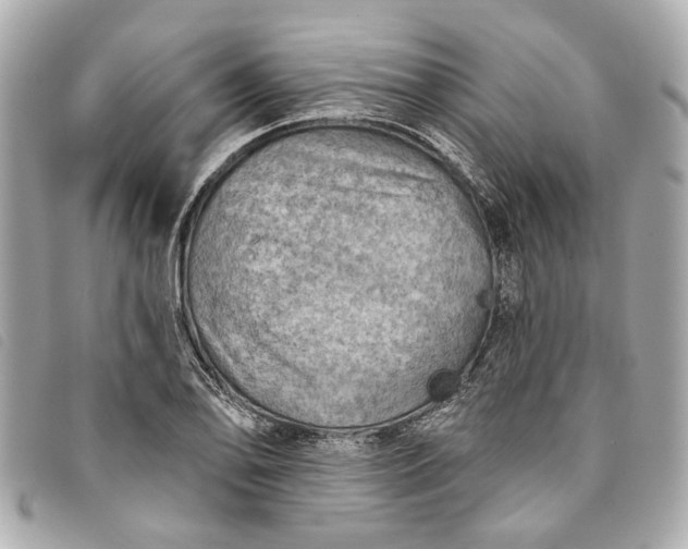 X0000093501078200710261133
