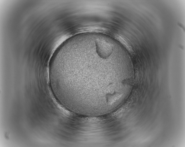 X0000093501079200710261133