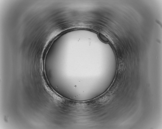 X0000093501080200710261133