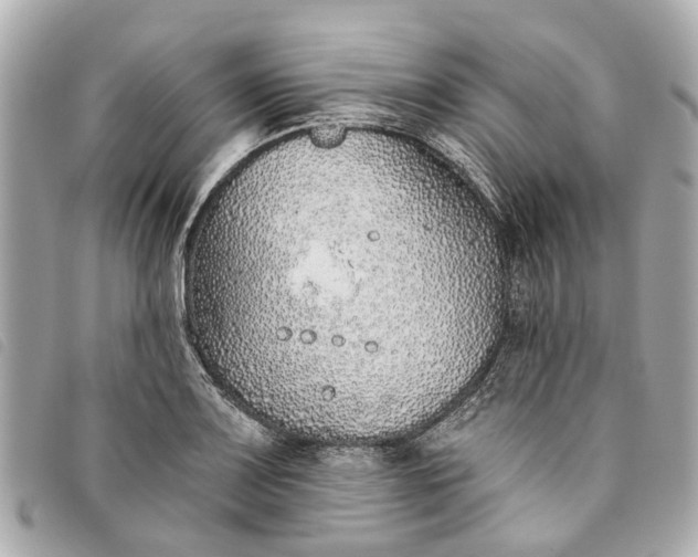 X0000093501083200710261133