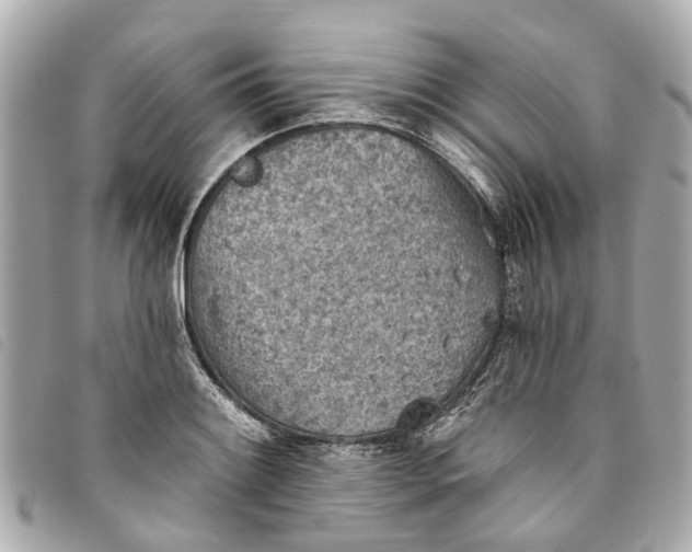 X0000093501084200710261133