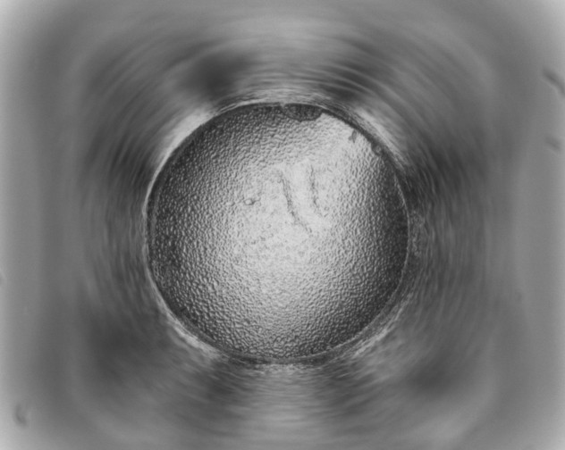 X0000093501087200710261133
