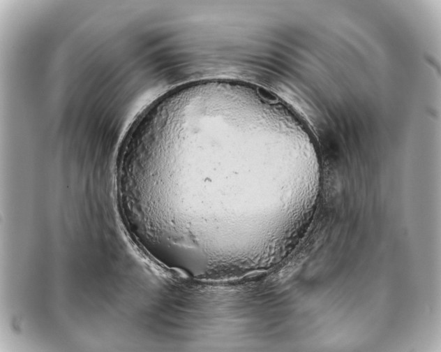 X0000093501088200710261133
