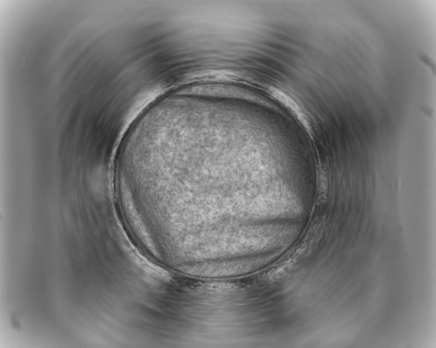 X0000093501090200710261133