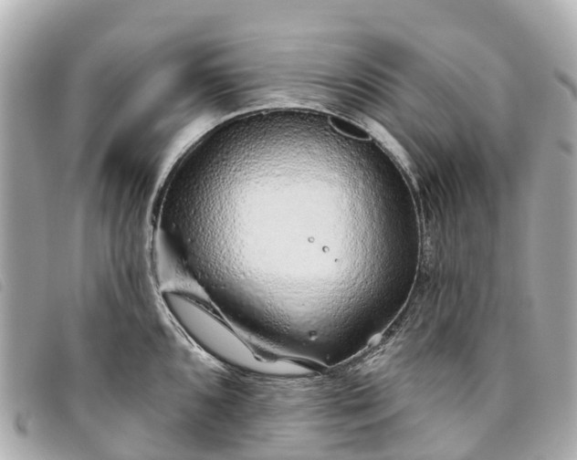 X0000093501096200710261133