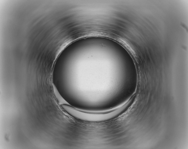 X0000093501097200710261133
