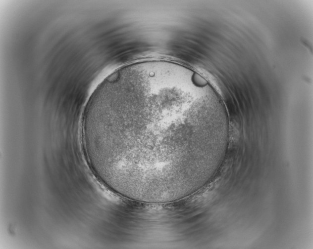 X0000093501098200710261133