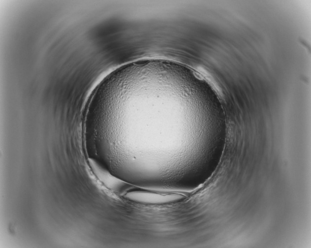 X0000093501100200710261133