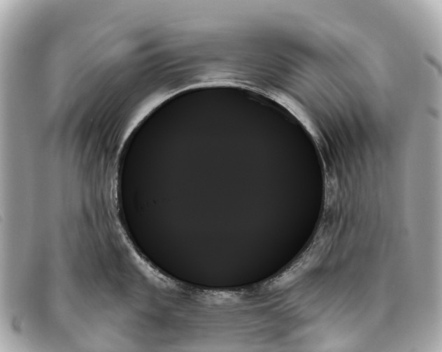 X0000093501101200710261133