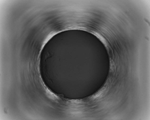 X0000093501102200710261133