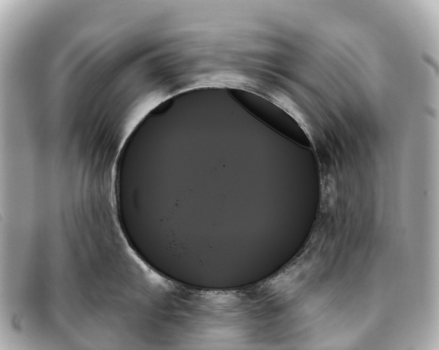 X0000093501103200710261133
