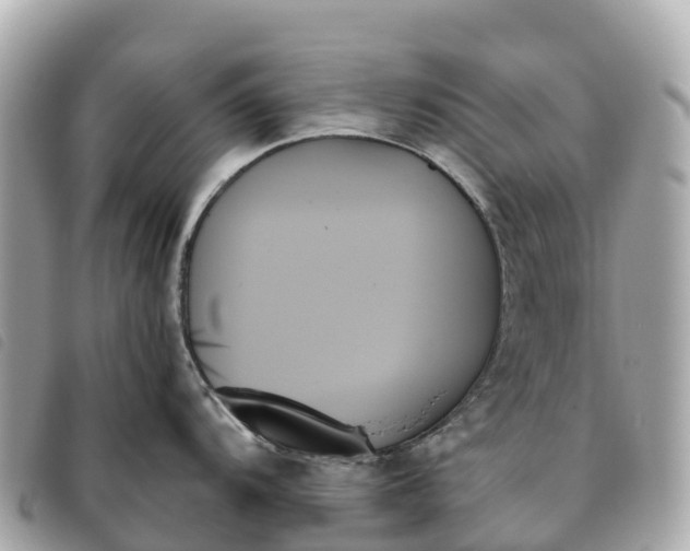X0000093501104200710261133