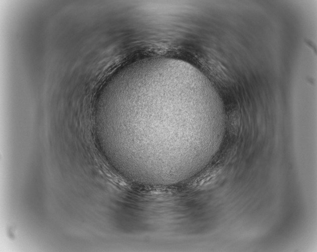 X0000093501105200710261132