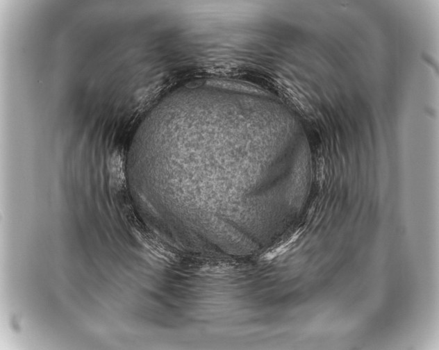 X0000093501106200710261132