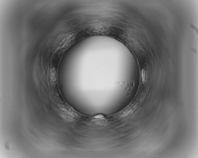 X0000093501107200710261132