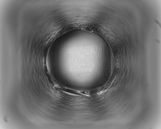 X0000093501108200710261132