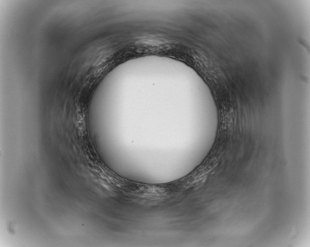 X0000093501109200710261132
