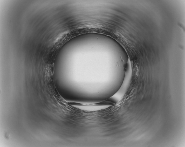 X0000093501110200710261132