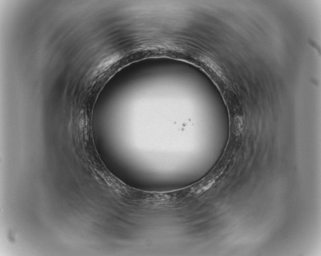 X0000093501111200710261132