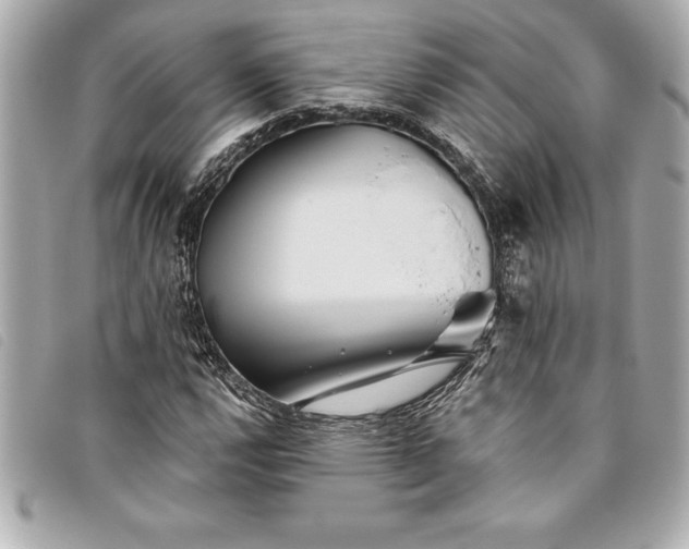 X0000093501112200710261132