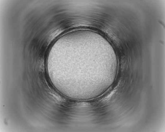 X0000093501113200710261132