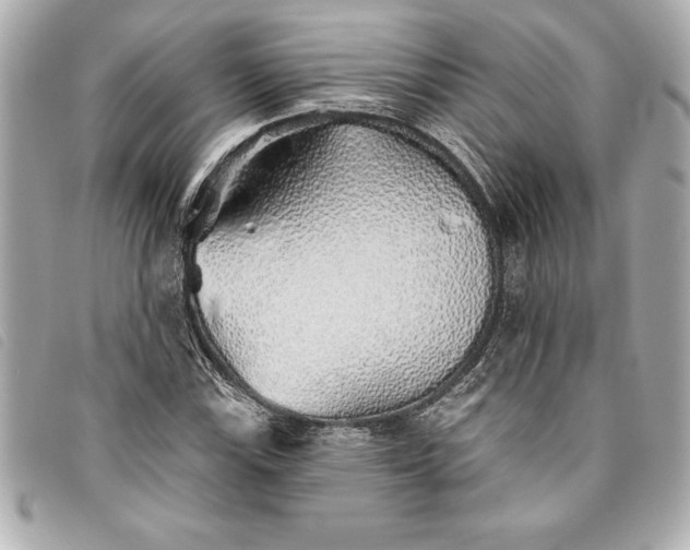X0000093501115200710261132