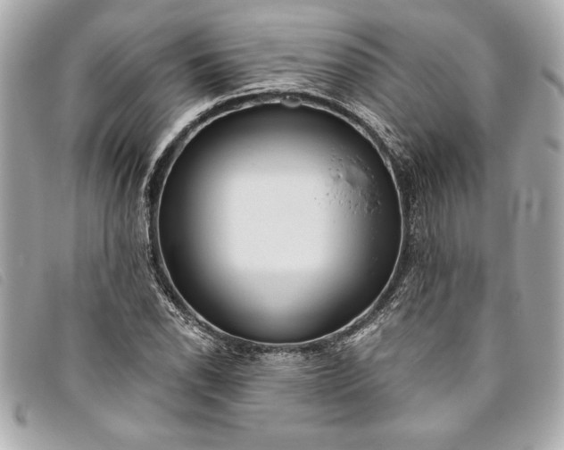 X0000093501118200710261132