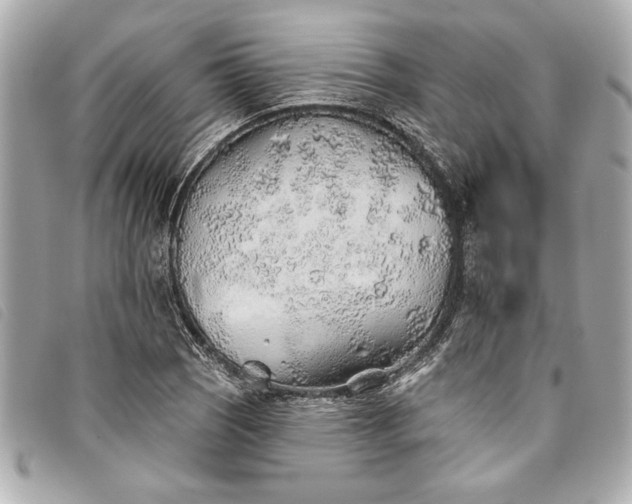 X0000093501121200710261132