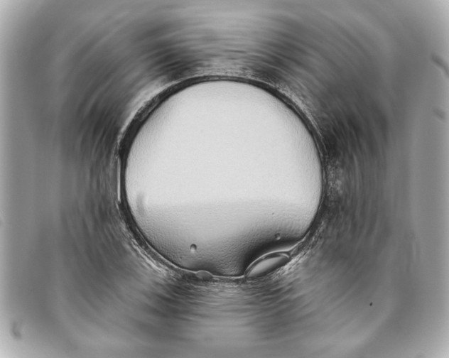 X0000093501123200710261132