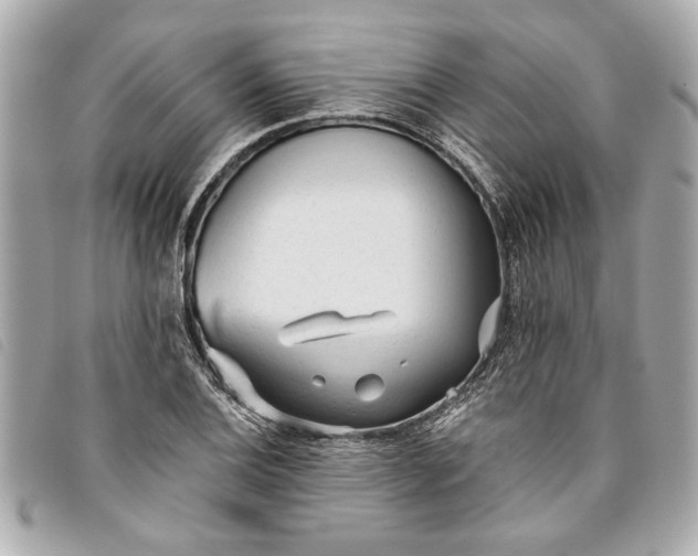X0000093501124200710261132