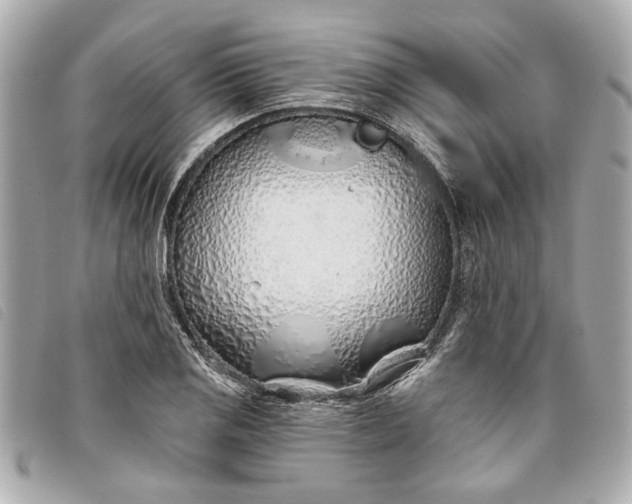 X0000093501125200710261132