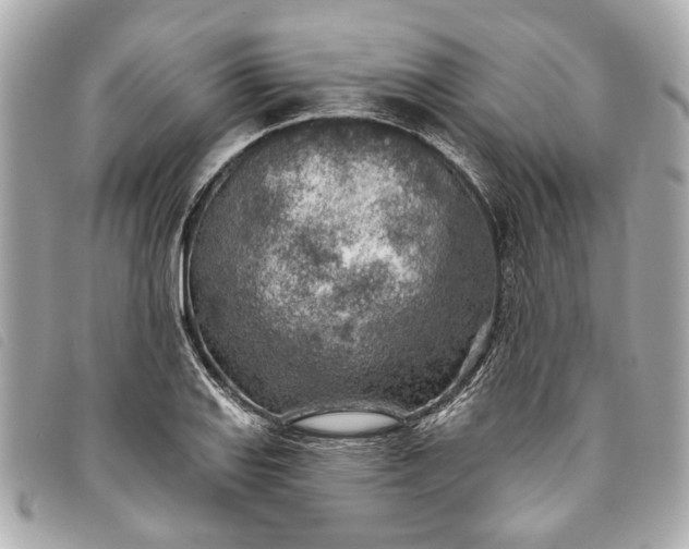 X0000093501127200710261133