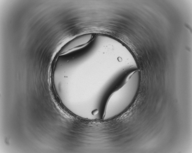 X0000093501128200710261133