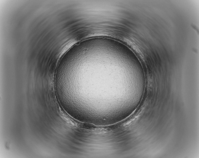 X0000093501137200710261133
