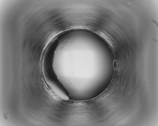 X0000093501140200710261133