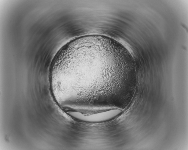 X0000093501142200710261133