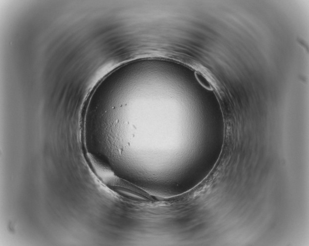X0000093501143200710261133