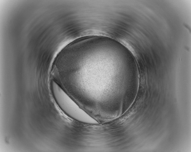X0000093501144200710261133