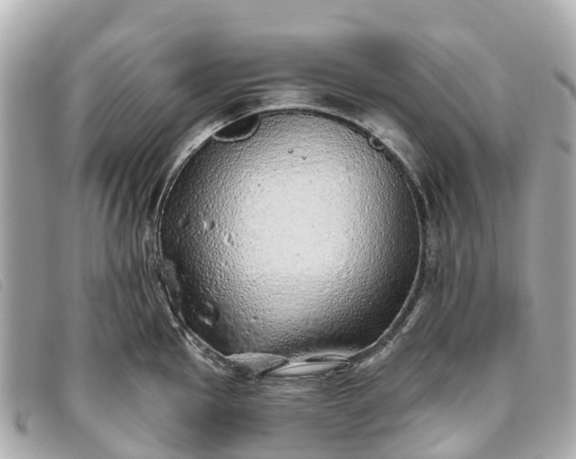 X0000093501145200710261133
