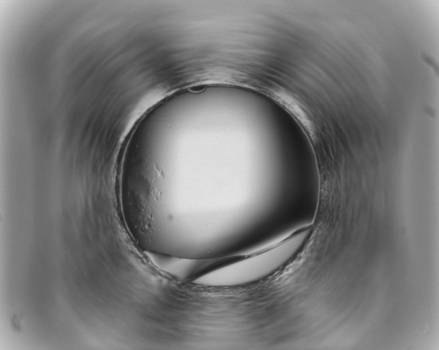 X0000093501146200710261133