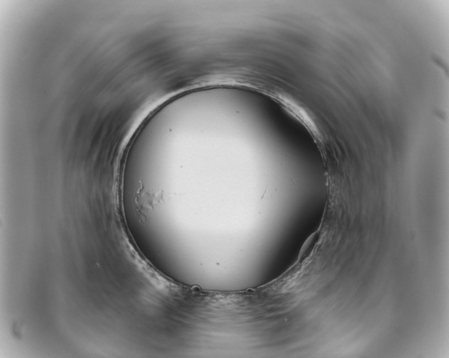 X0000093501148200710261133