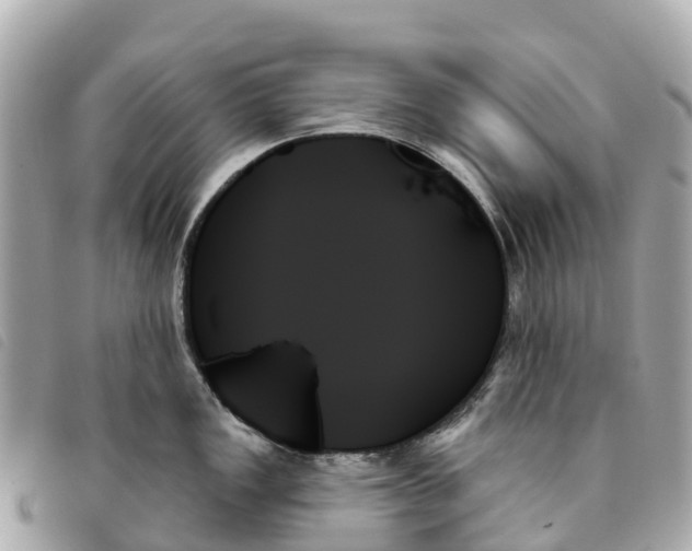 X0000093501149200710261133