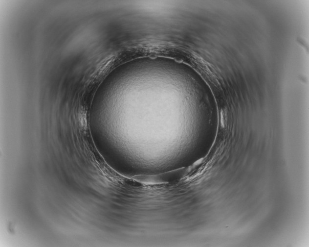 X0000093501155200710261132