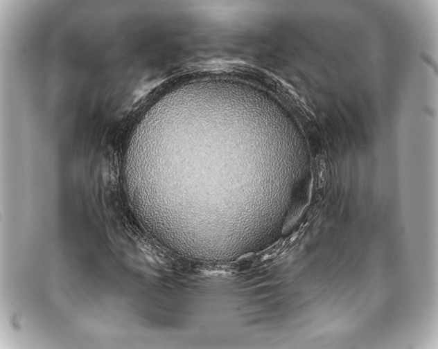 X0000093501158200710261132