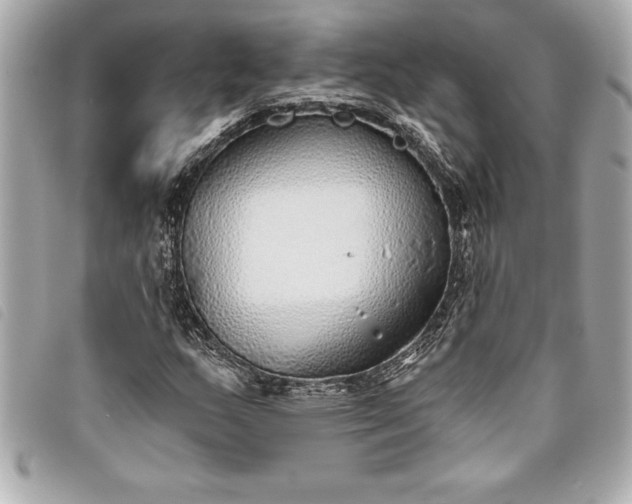 X0000093501159200710261132