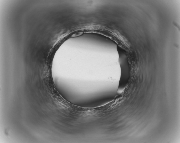 X0000093501160200710261132