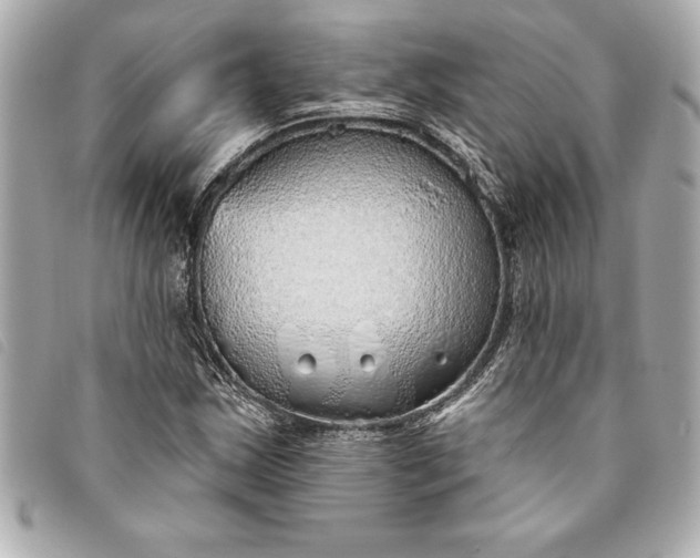 X0000093501163200710261132