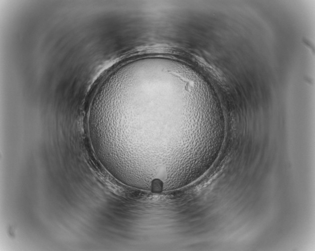 X0000093501166200710261132